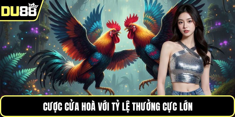 Cược cửa hoà với tỷ lệ thưởng cực lớn