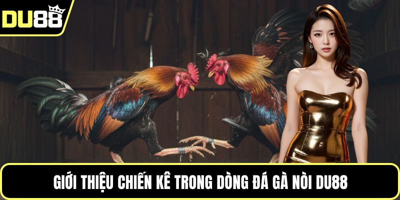 Giới thiệu chiến kê trong dòng đá gà nòi Du88